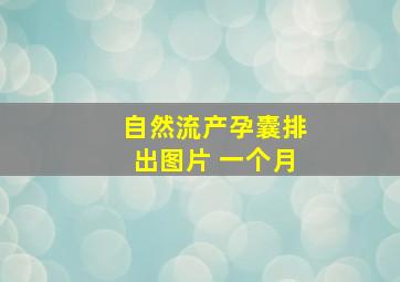 自然流产孕囊排出图片 一个月